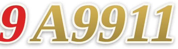 9a9911